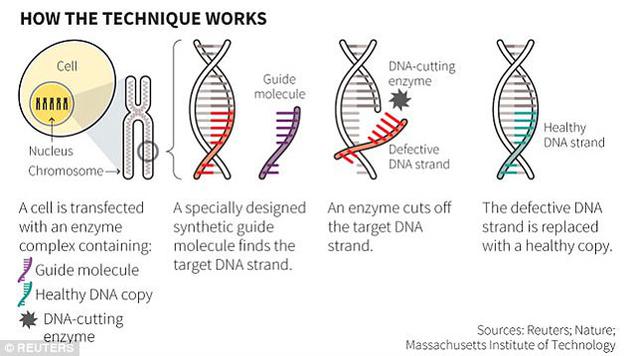 CRISPR-Cas9技術據稱具有治愈癌癥的潛力。該技術利用能識別出突變位點的標記，以及一種能在DNA特定位置精確剪切的酶，對某個基因進行部分移除。